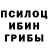 Галлюциногенные грибы Psilocybine cubensis Vladislav E9