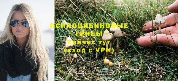 экстази Белокуриха