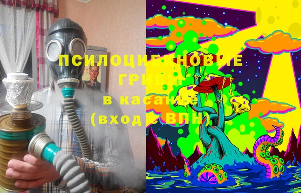 стафф Беломорск